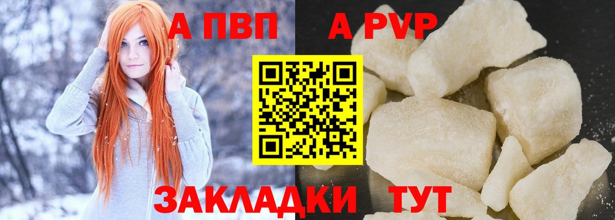 A PVP крисы CK Луга