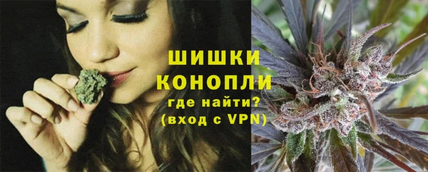 дживик Абинск