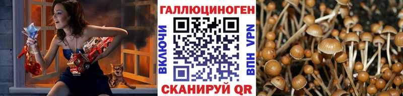 Галлюциногенные грибы Cubensis  Луга 