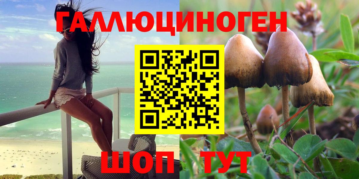 Луга  Псилоцибиновые грибы Cubensis  Вход с VPN 